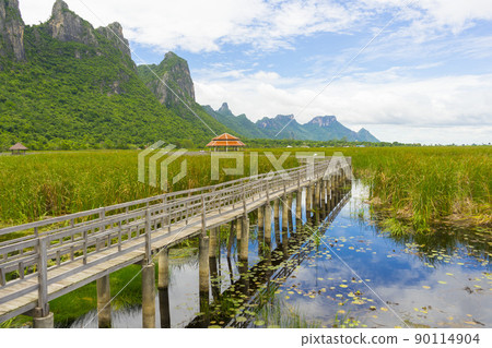 Beautiful view of Wooden Bridge on lotus lake at Khao Sam Roi Yod National Park, Thailand. 90114904