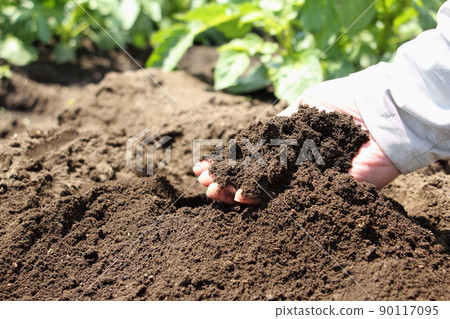 Field soil 90117095
