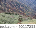 Scenery from the mountain trail leading to Mt. Hakusan Bessan 90117233