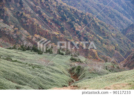 通往白山別山的山路風景 通往白山別山的山路風景 90117233