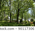 Nature  90117306