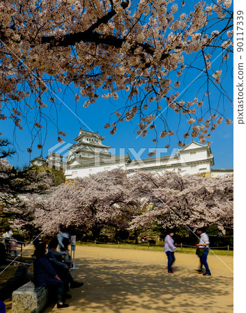 姬路城櫻花季,三之丸廣場風景,4月6日,日本 姬路城櫻花季,三之丸廣場風景,4月6日,日本 90117339