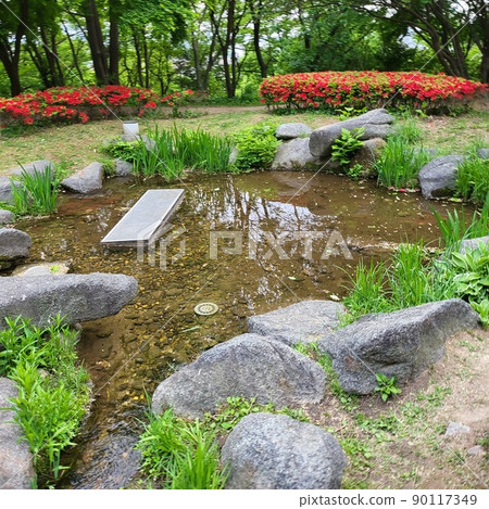 pond pond 90117349
