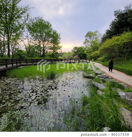 pond pond 90117359