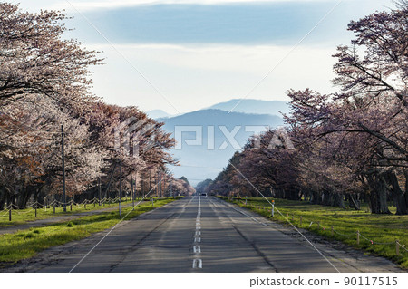 靜內20路 靜內20路 90117515