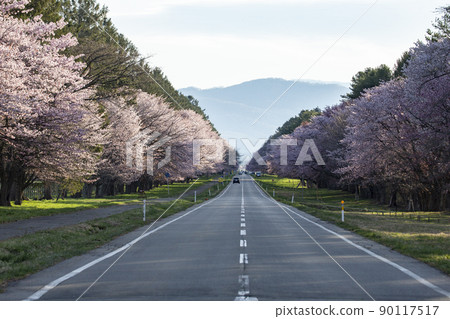 靜內20路 靜內20路 90117517
