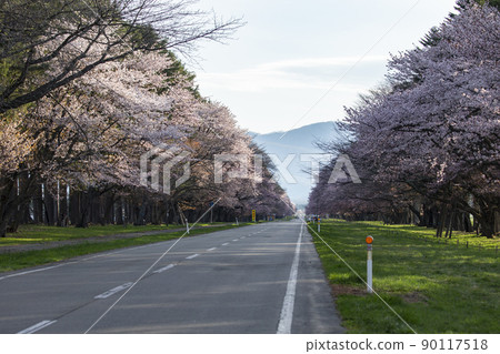 靜內20路 靜內20路 90117518