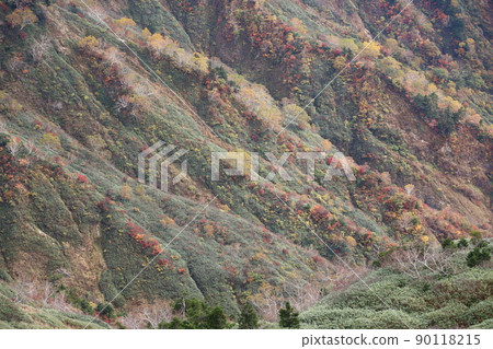 通往白山別山的山路風景 90118215