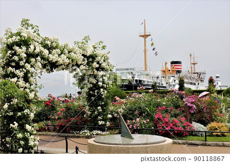 山下公園的玫瑰園 90118867