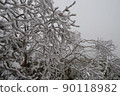 A tree 90118982