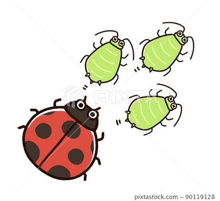 Aphids and natural enemy ladybugs 90119128