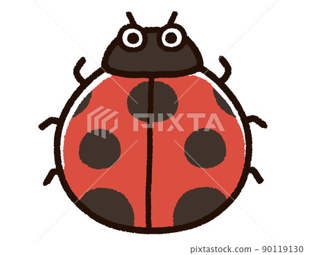 Cute Coccinella septempunctata character 90119130