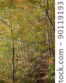 Autumn leaves of Yakshagaike 90119193