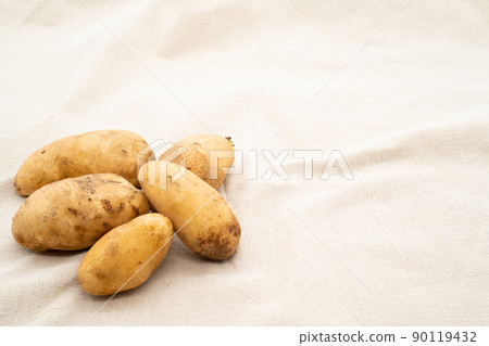 potato potato 90119432