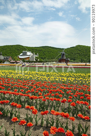 Kamiibetsu鬱金香公園 90119973