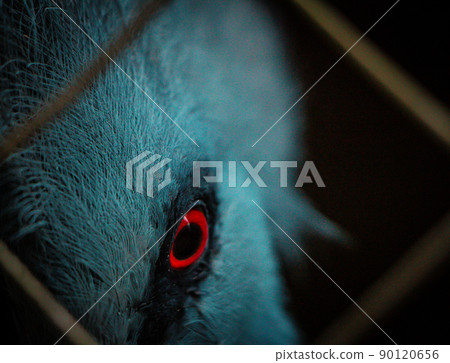 Philippines 90120656