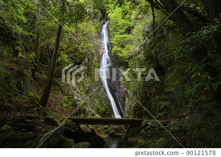 Nagataki, Kamisasami, Tamba-Sasayama City, Hyogo Prefecture 90121578