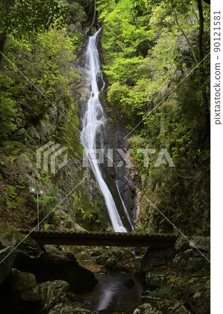 Nagataki, Kamisasami, Tamba-Sasayama City, Hyogo Prefecture 90121581