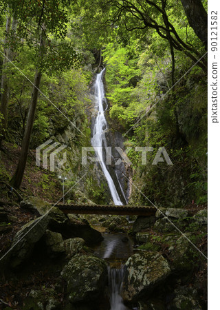 Nagataki, Kamisasami, Tamba-Sasayama City, Hyogo Prefecture Nagataki, Kamisasami, Tamba-Sasayama City, Hyogo Prefecture 90121582