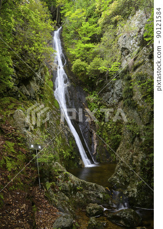 Nagataki, Kamisasami, Tamba-Sasayama City, Hyogo Prefecture 90121584