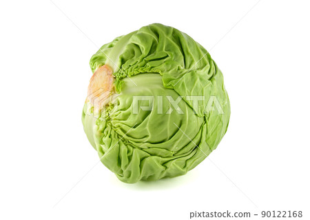 White cabbage over white background White cabbage over white background 90122168