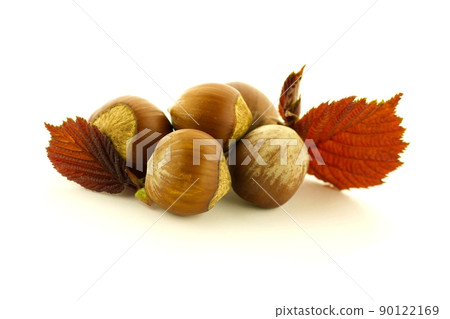 Hazelnuts and hazel leaves isolated on white 90122169