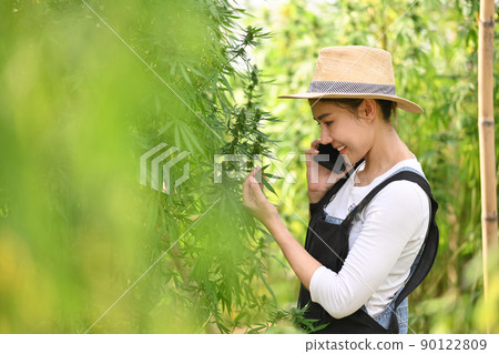 Young smart farmer talking on mobile phone while standing by hemp or cannabis field. Business agricultural cannabis farm 90122809
