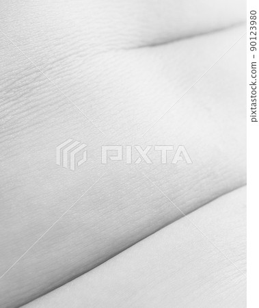 Female body texture. Close-up image of woman's body, plaits. Black and white image. Body art. Female body texture. Close-up image of woman's body, plaits. Black and white image. Body art. 90123980