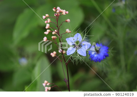 花 花 90124019