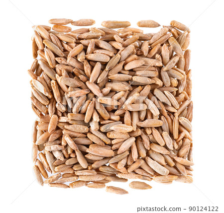 Rye grains isolated on white background. Pile of rye malt seeds close up. Dry grains of winter rye. Top view. Rye grains isolated on white background. Pile of rye malt seeds close up. Dry grains of winter rye. Top view. 90124122