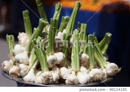Heads of garlic with green stalks on market closeup Heads of garlic with green stalks on market closeup 90124195