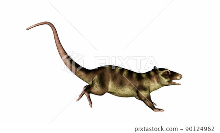 Purgatorius primate running tail up - 3D render 90124962