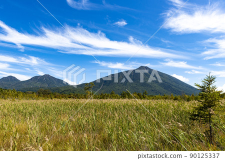 日光國立公園戰場原和南台山 90125337