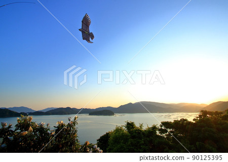 Bird chasing kite that protects crops Bird chasing kite that protects crops 90125395