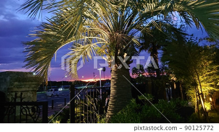 Night view Night view 90125772