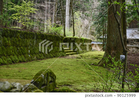 法尺山光善寺青苔古道 90125999