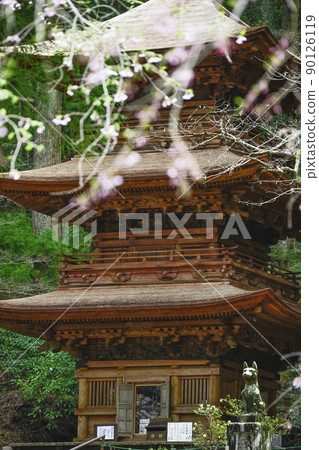 春天的保住山光善寺三重塔 90126119