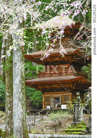 春天的保住山光善寺三重塔 90126120