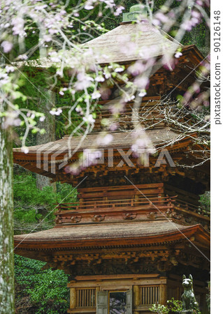 春天的保住山光善寺三重塔 90126148