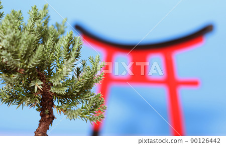 Bonsai Tree and Torii Gate Close up Shallow DOF Bonsai Tree and Torii Gate Close up Shallow DOF 90126442