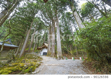 法尺山光善寺靈氣三本杉 法尺山光善寺靈氣三本杉 90126598