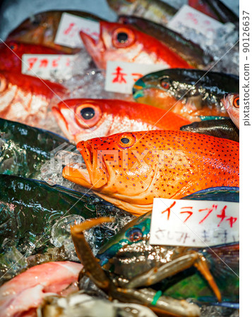 Okinawa Public Market Okinawa Public Market 90126637