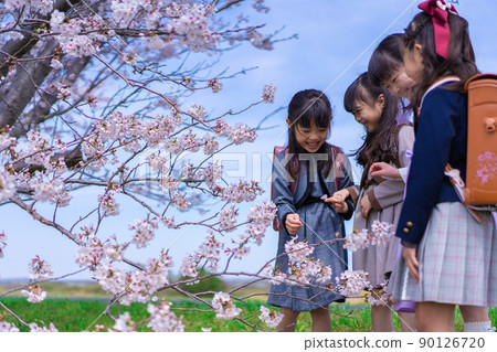 Elementary school girls carrying school bags on their backs and having fun going to school Elementary school girls carrying school bags on their backs and having fun going to school 90126720