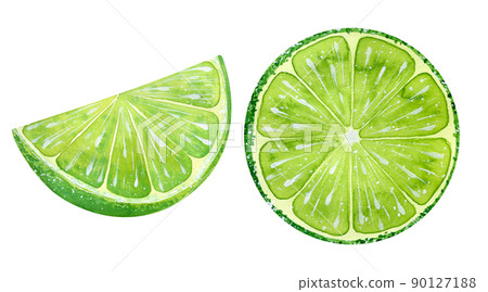 Watercolor illustration of hand-drawn fruits isolated lime 90127188
