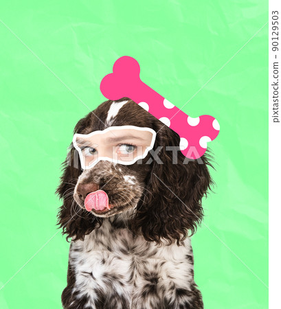 Contemporary art collage. Cute dog's muzzle with female eyes element isolated over green background Contemporary art collage. Cute dog's muzzle with female eyes element isolated over green background 90129503