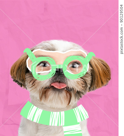 Contemporary art collage. Funny muzzle of shih tzu dog with human eyes element isolated over pink background Contemporary art collage. Funny muzzle of shih tzu dog with human eyes element isolated over pink background 90129504