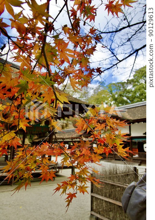 Kawai Shrine in the precincts of Shimogamo Shrine Kawai Shrine in the precincts of Shimogamo Shrine 90129613