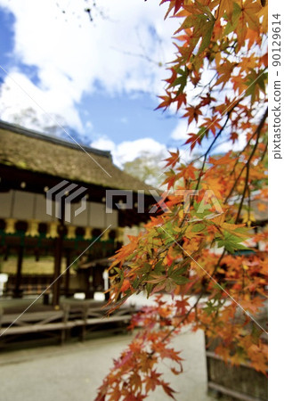 Kawai Shrine in the precincts of Shimogamo Shrine 90129614