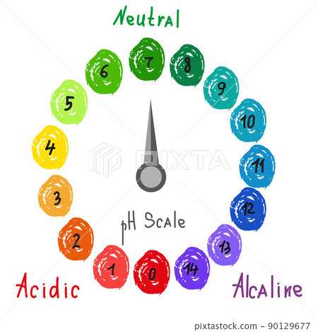 Round pH scale for measuring acid alkaline balance. Chemical value test. Doodle infographics with indicator chart. Hand drawn vector illustration Round pH scale for measuring acid alkaline balance. Chemical value test. Doodle infographics with indicator chart. Hand drawn vector illustration 90129677
