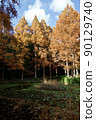 Autumn Suma Rikyu Park (Kobe) 90129740